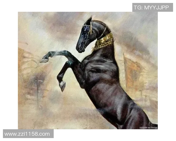 马球场上的传奇10号足球明星的辉煌与梦想